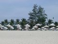 Thailand_122006 13006261