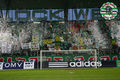 ultras rapid choreo 74926004