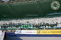 ultras rapid choreo 74926005