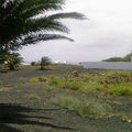 Praktikum in Lanzarote 42525003