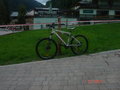 freeride 21774816