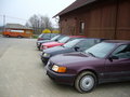 << Erste - Wolferner - Audi - Gang 17031138