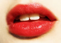 Lips 17467748