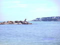 Antibes 2008 37083126