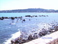 Antibes 2008 37084268