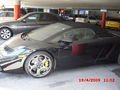 Gallardo 57981305