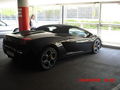 Gallardo 57981364