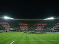 SK Rapid Wien!!! 20006506