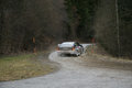 Jänner Rallye 07 14072441