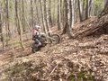 Enduro-Ungarn März'06 18213040