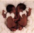 Anne Geddes 1622273