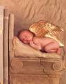 Anne Geddes 1622281