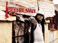 beenieman - Fotoalbum