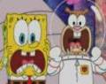 Spongebob & Co... 1036167