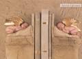 Anne Geddes 3677532