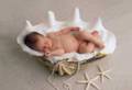 Anne Geddes 3677552