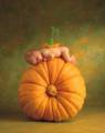 Anne Geddes 3677587