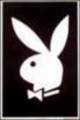 Playboybunnys 1320890