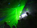 Sensation White Budapest 3.5.2008 37754465