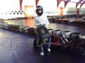 MY HOBBIES GOKART 17049370