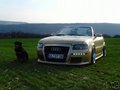 AUDI OOOO 17847173