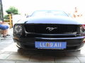 The Mustang 42929273