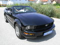 The Mustang 42929584