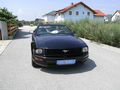 The Mustang 42929605