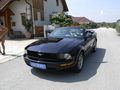 The Mustang 42929619