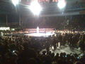 Wrestlemania Revenge Tour Linz 2008 36846707