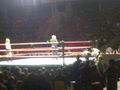 Wrestlemania Revenge Tour Linz 2008 36846735