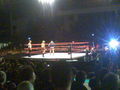 Wrestlemania Revenge Tour Linz 2008 36846762