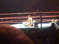 Wrestlemania Revenge Tour Linz 2008 36846768