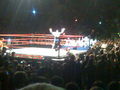 Wrestlemania Revenge Tour Linz 2008 36846776