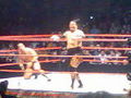 Wrestlemania Revenge Tour Linz 2008 36846782