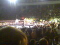 Wrestlemania Revenge Tour Linz 2008 36846854