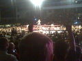 Wrestlemania Revenge Tour Linz 2008 36846870