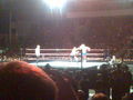 Wrestlemania Revenge Tour Linz 2008 36846952