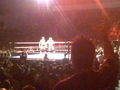 Wrestlemania Revenge Tour Linz 2008 36847087