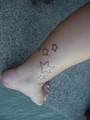 TATTOOOO 7941088