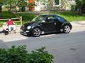 Beetle & Babes 5162483