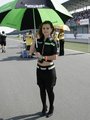 Paddock girls 17490278