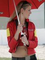 Paddock girls 17490284