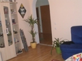 Unser Wohnung 32552965