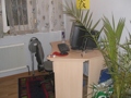 Unser Wohnung 32553287