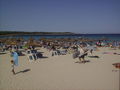 Urlaub Mallorca!! 44759817