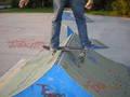 Skate pics 2245782