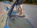 Skate pics 2245824