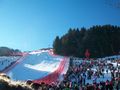 **Kitzbühel 2010** 71169210