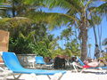 Urlaub Dominikanische Republik 60963806